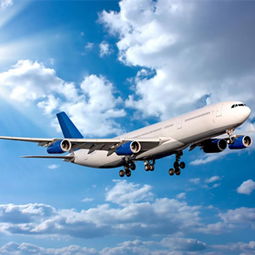浦江国际空运哪家好 海运 上海国际货运