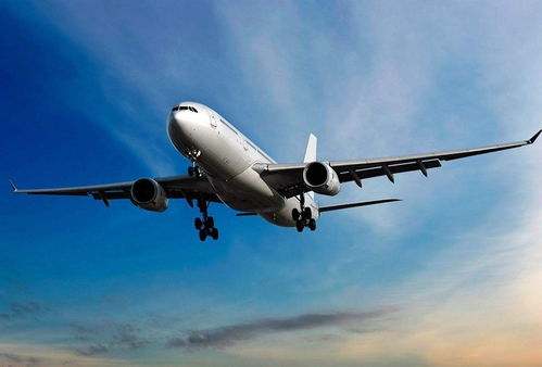 上海到cebu宿务特种柜报关运输订舱货代公司上海