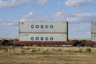 北非国际货运代理,广州至北非拖车报关,广州外贸至北非仓储散货中转装柜,拖车海运订舱图片,北非国际货运代理,广州至北非拖车报关,广州外贸至北非仓储散货中转装柜,拖车海运订舱高清图片