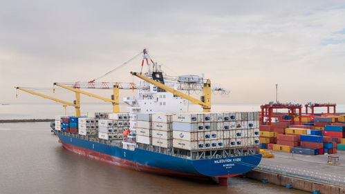 75 牛肉对华出口,外包装却接连两次检出新冠病毒 阿 已展开调查