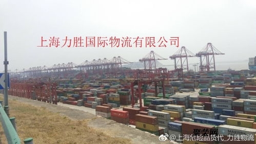 上海危险品国际物流货代服务