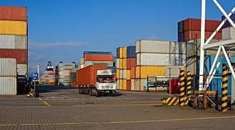 近期海关查验热点：外贸货代人需重点关注