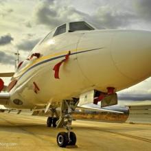 广州乐柏达国际货运代理有限责任公司