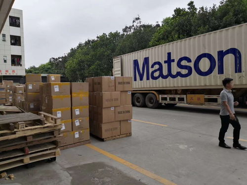 深圳出口加拿大海运到门, 威尔国际物流