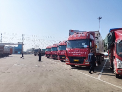 感恩安达 患难真情 汉欧国际赴二连浩特接运蒙古国三万只羊